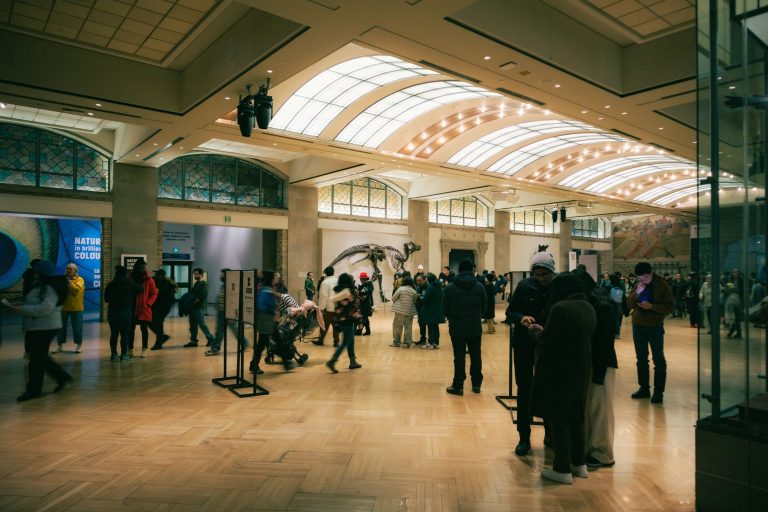 Explore Arlington: Museums, Parks, and Entertainment