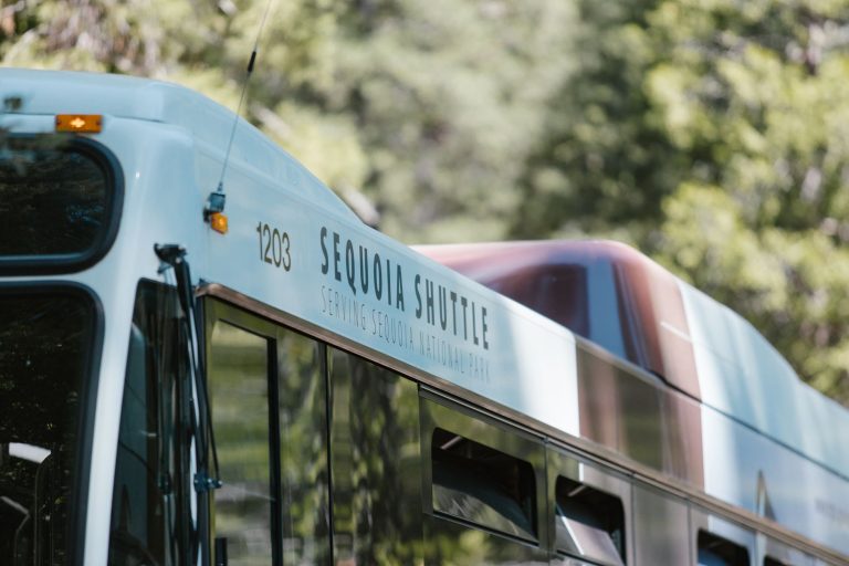 Hotels with Shuttle Service to AT T Stadium: Arlington World Cup 2026