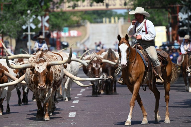 Things to Do in Arlington Texas During World Cup 2026