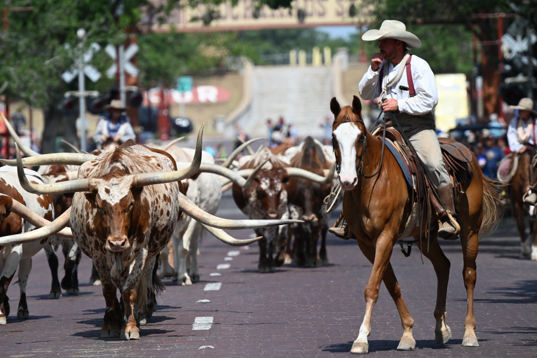 Things to Do in Arlington Texas During World Cup 2026
