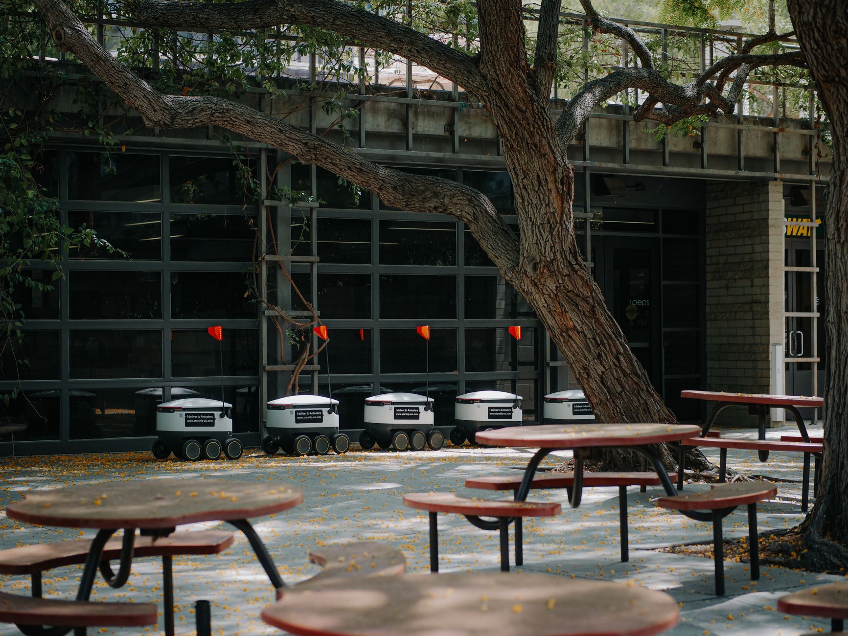 Ultimate UTA Campus Dining and Food Options Guide 2026