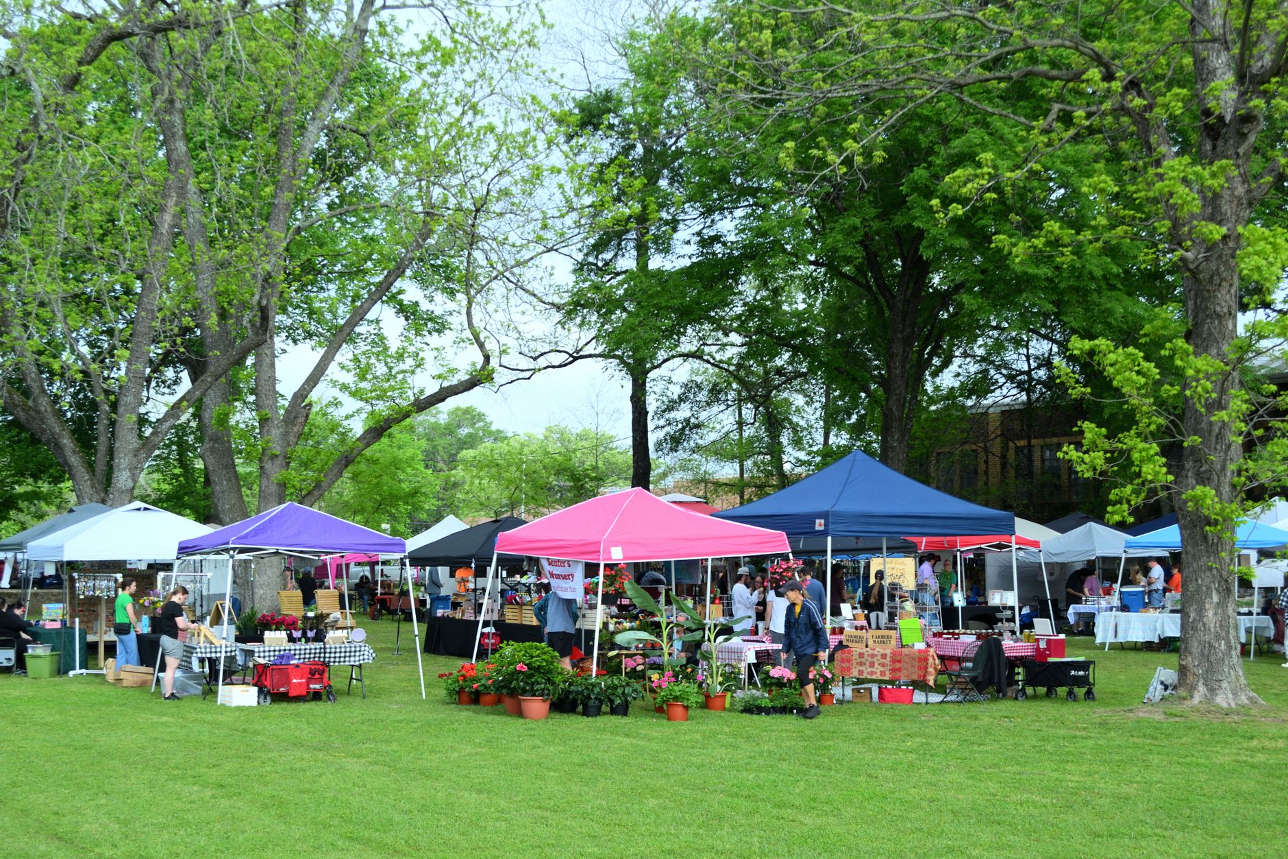 Arlington TX Farmers Markets Guide 2026